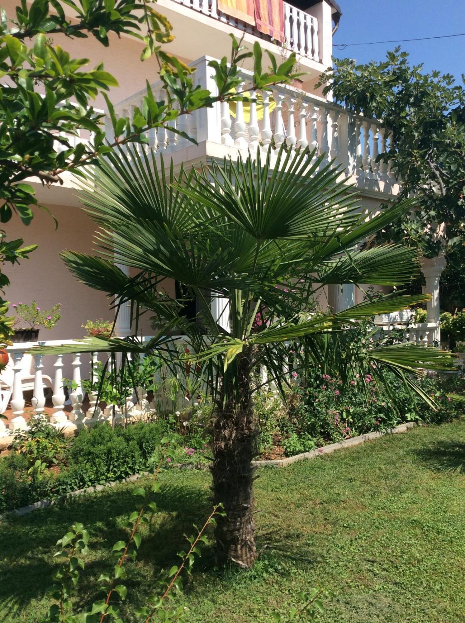 Villa Chiara Водице Екстер'єр фото