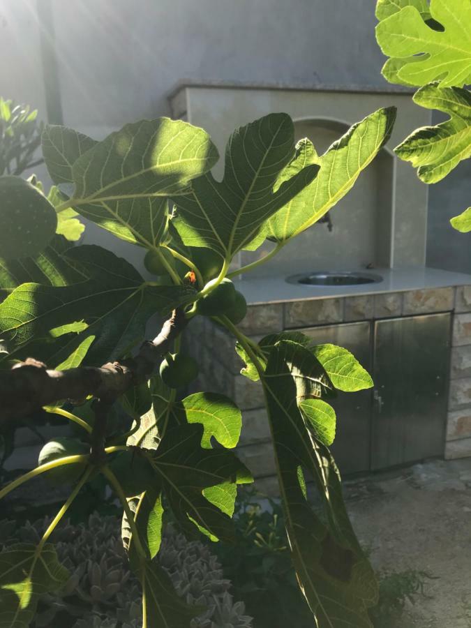 Villa Chiara Водице Екстер'єр фото