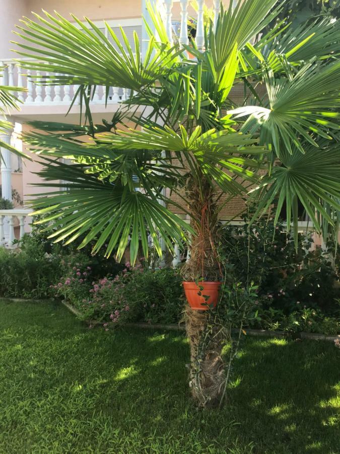 Villa Chiara Водице Екстер'єр фото